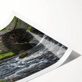 Vibrant rolled print of a serene landscape featuring a watermill surrounded by lush greenery and soft clouds, perfect for home decor and nature enthusiasts.