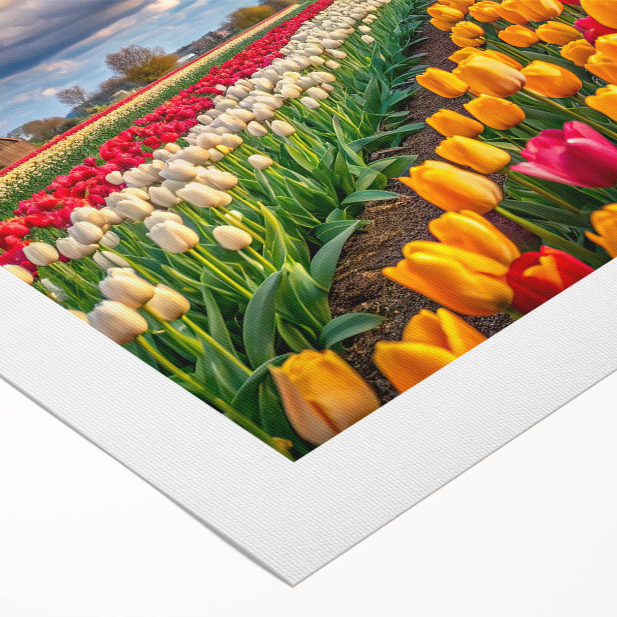 Rolled canvas artwork showcasing a vibrant landscape featuring windmills set against a colorful sky, ideal for home decor. Textured surface enhances visual appeal.