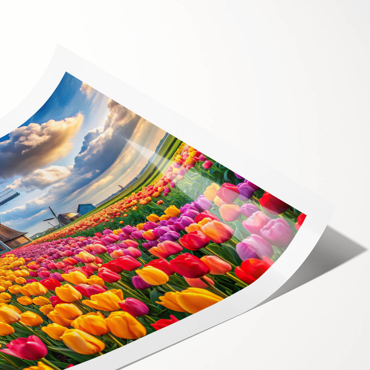 Rolled print of a serene landscape showcasing windmills against a vibrant sunset sky, ideal for home decor and art enthusiasts, packaged securely for delivery.