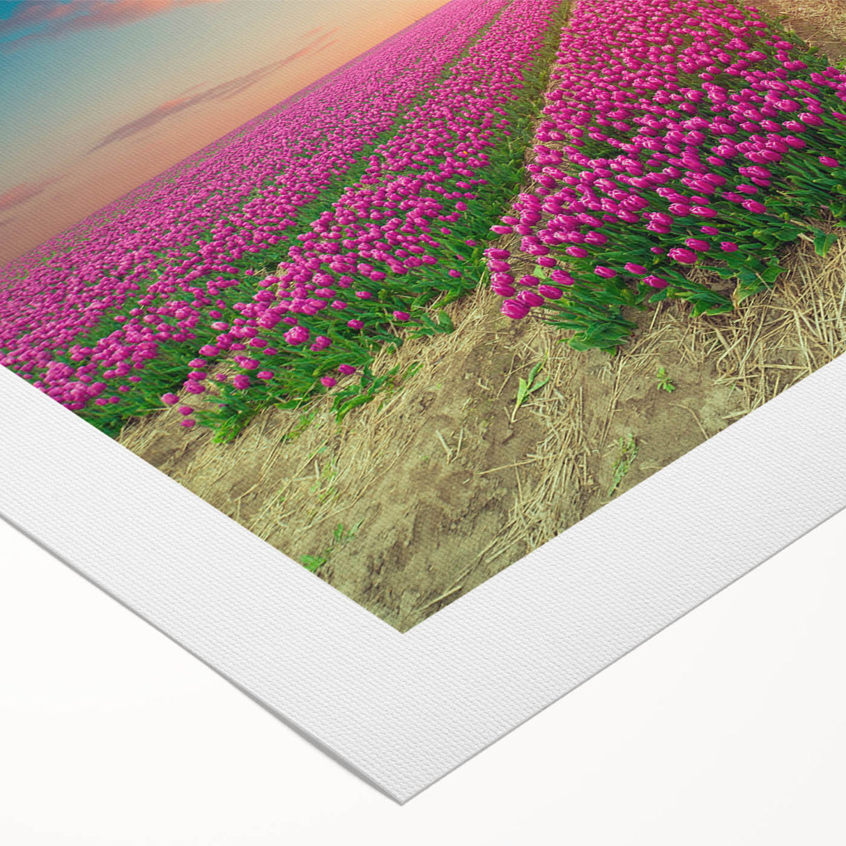 Rolled canvas wall art showcasing a vibrant landscape with windmills against a sunset backdrop, ideal for home decor enthusiasts seeking unique and stylish pieces.