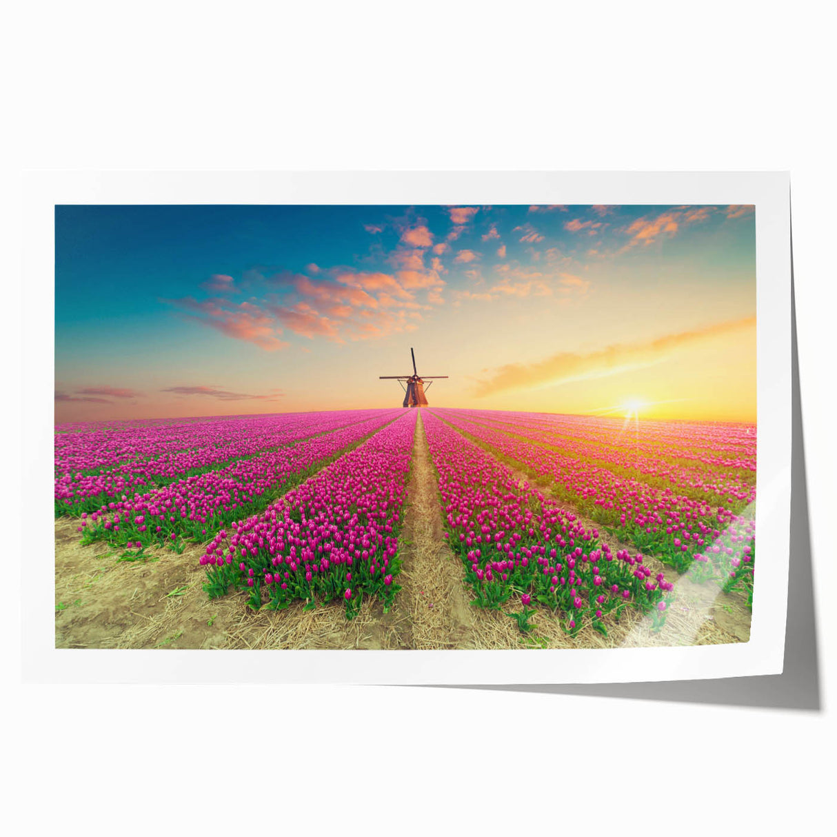 Vibrant rolled wall art print showcasing a picturesque landscape with windmills under a clear blue sky, perfect for home decor and interior design enthusiasts.