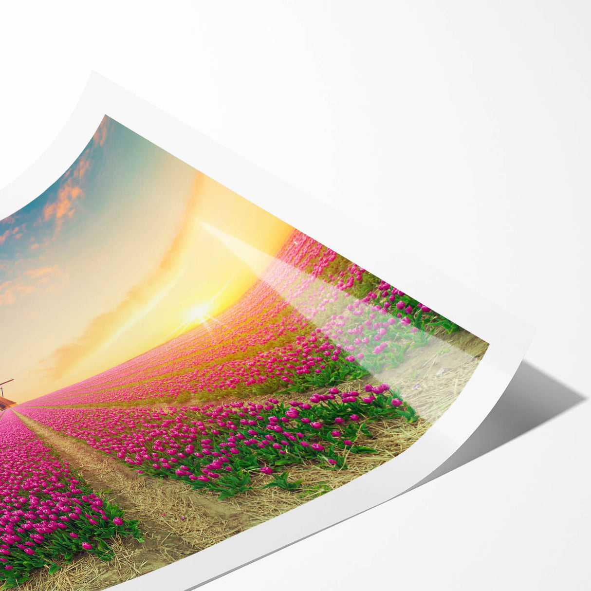 Vibrant wall art print featuring a serene landscape with windmills against a colorful sunset sky, perfect for home decor and adding a tranquil touch to any room.