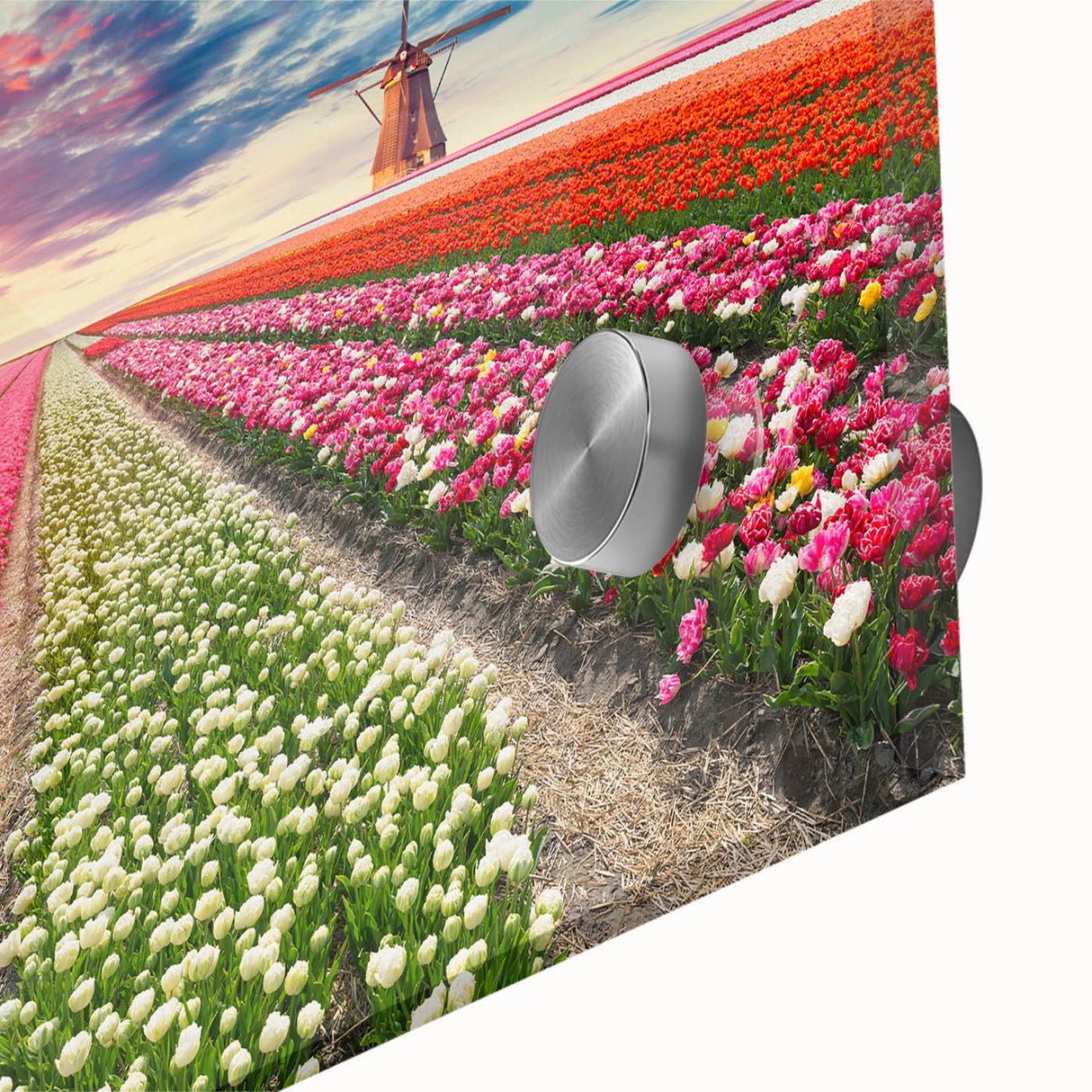 Close-up of a vibrant acrylic wall art piece depicting a serene landscape with windmills, showcasing vivid colors and intricate details, perfect for home decor.