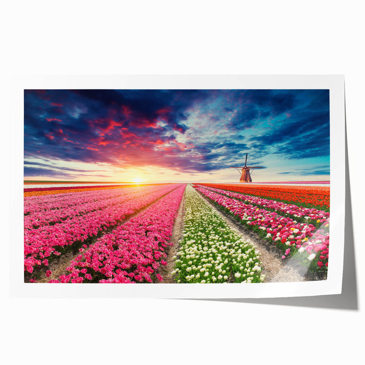Vibrant rolled print showcasing a serene landscape with windmills, perfect for home décor, featuring soft colors and a calming atmosphere, rolled for easy display.