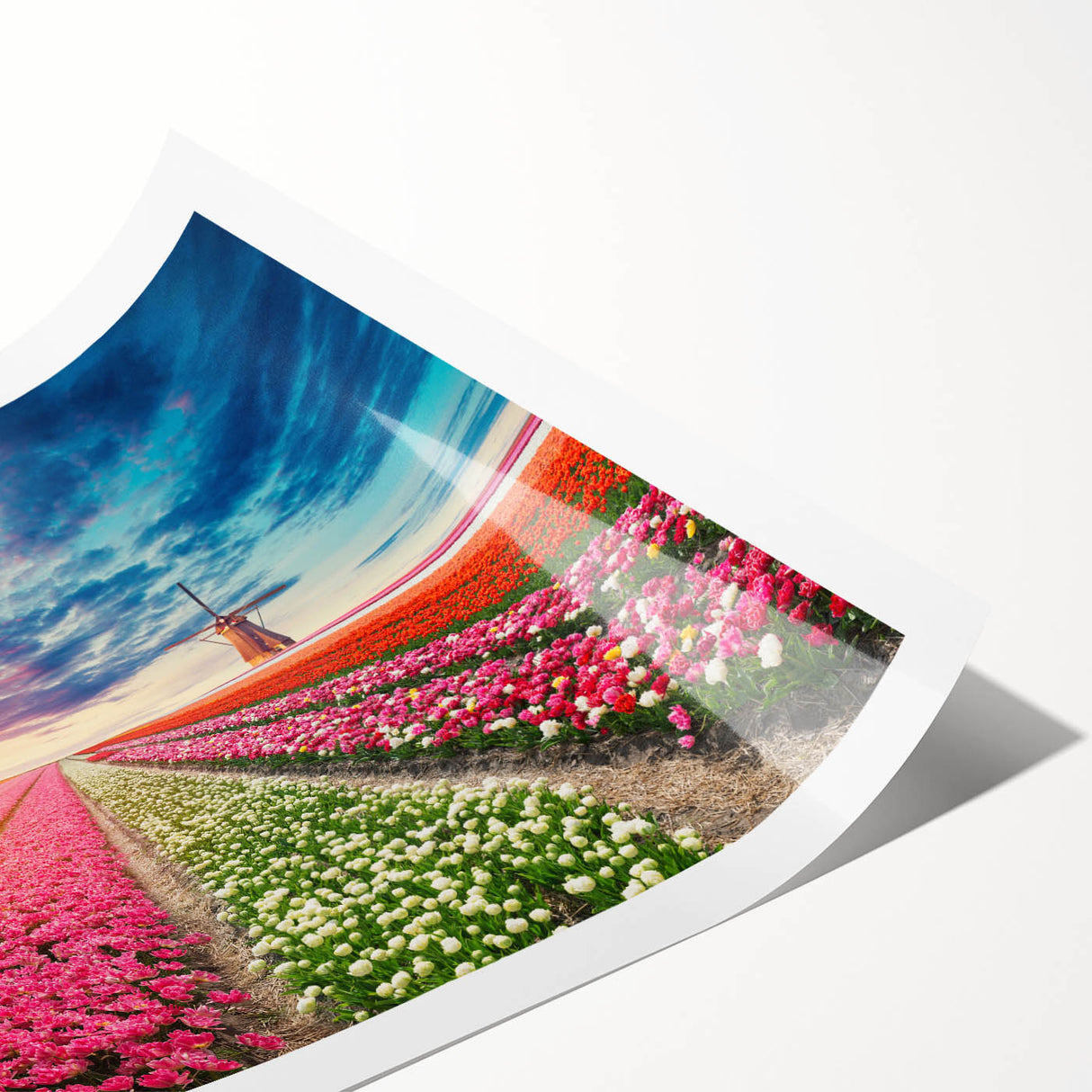 Vibrant rolled print of a serene landscape featuring traditional windmills against a colorful sunset, ideal for home decor or art collection.