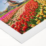 Rolled canvas print showcasing a vibrant landscape of windmills against a colorful sunset, ideal for home decor. Perfect for adding a serene touch to any space.