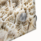 Close-up of vibrant marine life wall art featuring colorful coral designs, printed on acrylic glass. Ideal for ocean-themed decor or nature enthusiasts.