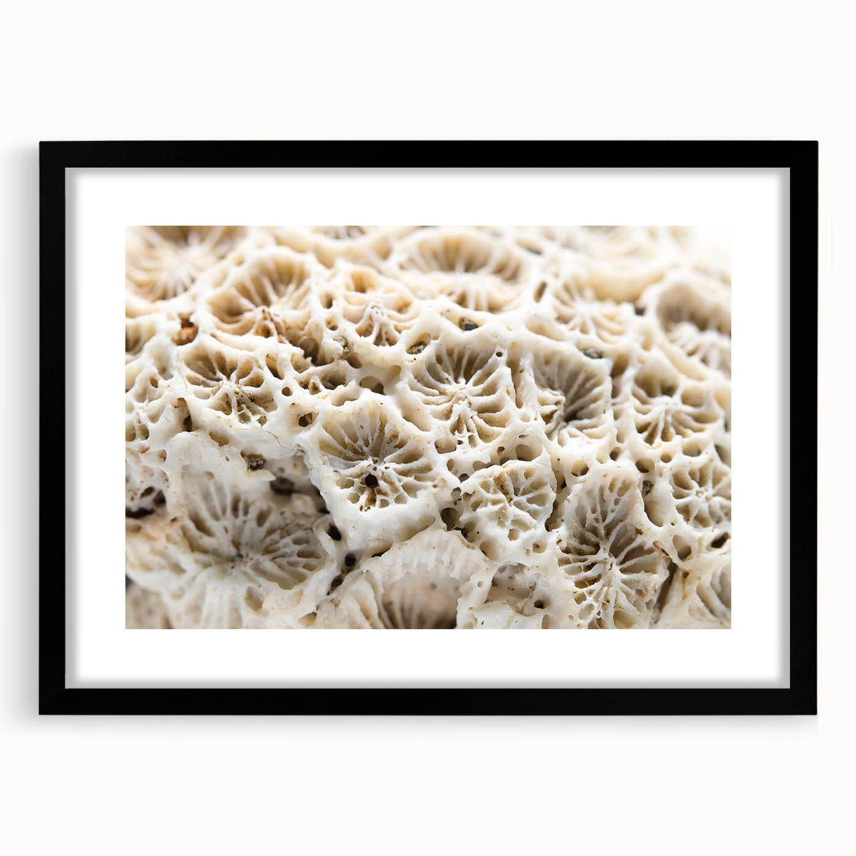 Framed wall art showcasing a vibrant marine life coral design, featuring intricate details and a sleek black frame. Ideal for ocean-themed decor.