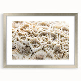Framed wall art featuring a vibrant coral design inspired by marine life, set in a sleek silver frame with a mat, perfect for ocean-themed decor.