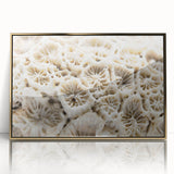 Framed wall art showcasing a vibrant coral reef design in an acrylic finish with a gold frame, perfect for marine life enthusiasts and coastal decor.