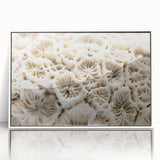 Framed wall art showcasing a vibrant marine life coral design in shades of blue and orange, set against a white background for a contemporary aesthetic. Ideal for ocean-themed decor.