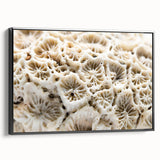 Framed wall art featuring a vibrant marine life and coral design on canvas with a sleek black frame, showcasing intricate details and vivid colors, ideal for ocean-themed decor.