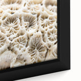 Close-up of a vibrant coral reef wall art piece, showcasing intricate marine life details in rich colors, framed elegantly for modern decor. Perfect for ocean lovers and enhancing interior spaces.