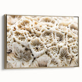 Framed canvas wall art featuring a vibrant marine life coral design with gold accents, showcasing intricate details and textures, ideal for ocean-themed decor.