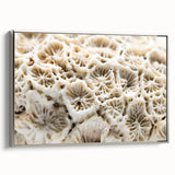 Framed canvas wall art featuring a vibrant marine life coral design in shades of blue and orange, showcasing intricate details and textures, ideal for ocean-themed decor.