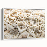 Framed canvas wall art featuring a vibrant marine life and coral design, showcasing detailed underwater colors and textures, perfect for ocean-themed decor.