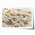 Colorful marine life coral design wall art print showcasing vibrant underwater scenes, rolled and ready for framing, ideal for ocean-themed decor.