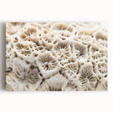 Vibrant coral reef wall art on stretched canvas, showcasing intricate marine life designs in shades of blue and orange, perfect for ocean-themed decor.