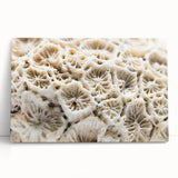 Vibrant marine life canvas wall art showcasing colorful coral designs, perfect for ocean-themed decor. Ideal for adding a touch of underwater beauty to any space.