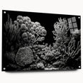 Colorful marine life wall art collection featuring a detailed coral design displayed in an acrylic frame. Ideal for ocean-themed decor, highlighting vibrant hues and textures.