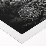 Rolled canvas wall art showcasing a vibrant marine life coral design, featuring detailed underwater elements in bright colors, elegantly packaged in a protective tube.