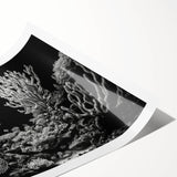 Vibrant marine life wall art print showcasing intricate coral designs in vivid colors, rolled and ready for framing, perfect for ocean-themed decor.