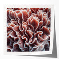 Vibrant wall art featuring a detailed marine life coral design, showcasing colorful sea creatures and intricate coral patterns on a glossy surface, ideal for ocean-themed decor.
