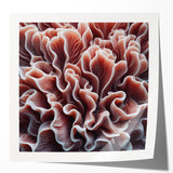 Vibrant wall art featuring a detailed marine life coral design, showcasing colorful sea creatures and intricate coral patterns on a glossy surface, ideal for ocean-themed decor.
