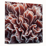Acrylic glass wall art showcasing a vibrant marine life coral design, featuring colorful underwater elements and mounted with decorative pins, ideal for ocean-themed decor.
