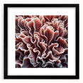 Black-framed wall art showcasing a vibrant marine life coral design, featuring intricate details and colors, perfect for enhancing ocean-themed decor.