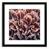 Black-framed wall art showcasing a vibrant marine life coral design, featuring intricate details and colors, perfect for enhancing ocean-themed decor.