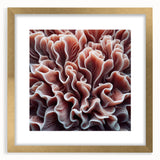 Framed wall art featuring a vibrant marine life coral design, highlighted with a gold frame and mat, ideal for ocean-themed decor in living spaces.