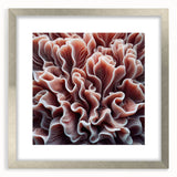 Coral reef-inspired wall art collection featuring intricate marine life designs in vibrant colors, framed in a sleek silver frame with a mat for an elegant look.
