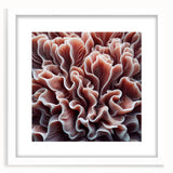 Framed wall art featuring a vibrant coral marine life design, set against a white mat, ideal for ocean-themed decor in homes or offices. The artwork showcases intricate details and vivid colors, enhancing any coastal aesthetic.