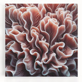 Vibrant marine life coral design stretched canvas wall art showcasing intricate details in blues and greens, perfect for ocean-themed decor and enhancing living spaces.