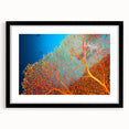 Framed wall art featuring a vibrant marine life coral design in shades of blue and orange, set against a sleek black frame, perfect for ocean-themed decor.