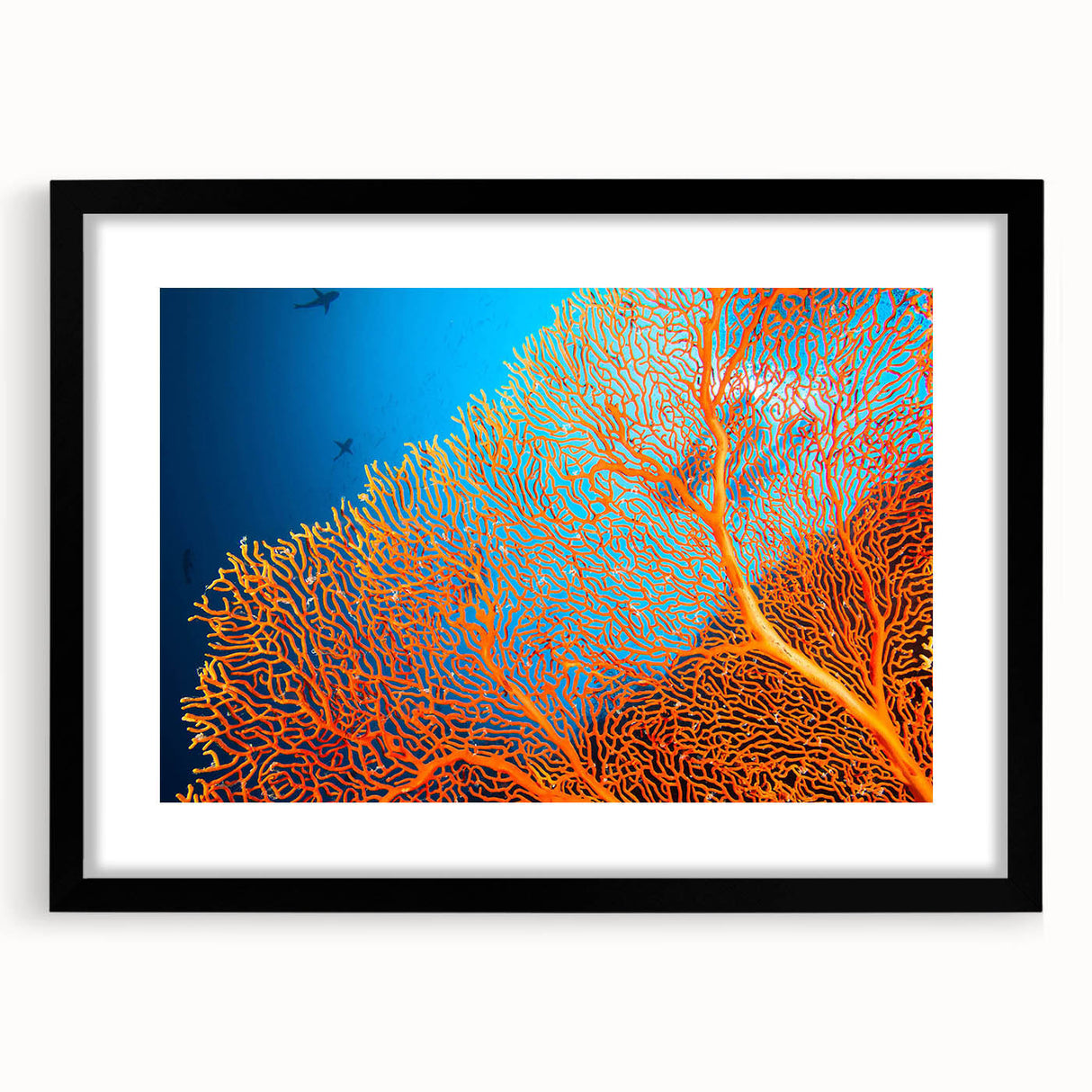 Framed wall art featuring a vibrant marine life coral design in shades of blue and orange, set against a sleek black frame, perfect for ocean-themed decor.