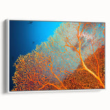Framed canvas wall art showcasing a vibrant marine life coral design, set against a white background, perfect for ocean-themed home decor. Ideal for adding color and depth to living spaces.
