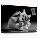 Acrylic wall art collection showcasing vibrant marine life and coral designs, displayed in a side view with polished pins for mounting, perfect for ocean-themed decor.