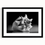 Framed wall art collection featuring vibrant marine life and coral design, displayed in a sleek black frame with a white mat, perfect for ocean-themed decor.