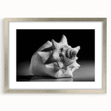 Framed wall art featuring a vibrant marine life coral design, showcased in a sleek silver frame with a mat, perfect for ocean-themed decor.