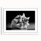 Framed wall art showcasing a vibrant marine life coral design, featuring intricate details in shades of blue and orange, set against a white mat for a clean, modern look. This decorative piece enhances coastal-themed interiors and brings a touch of ocean beauty to any space.