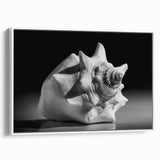 Framed canvas wall art depicting vibrant coral marine life design in a modern white frame, showcasing intricate details and vivid colors for ocean-themed decor.