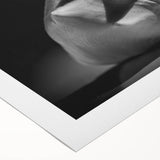 Vibrant rolled canvas wall art showcasing a colorful marine life coral design, featuring intricate details of underwater flora and fauna, ideal for ocean-themed decor.