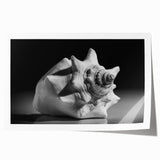 Vibrant rolled print showcasing a marine life coral design, featuring intricate details and colorful sea creatures on a textured surface, ideal for ocean-themed decor.