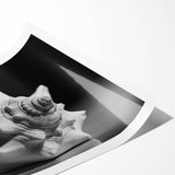 Vibrant marine life wall art print showcasing intricately designed coral patterns in vivid blues and oranges, ideal for enhancing aquatic-themed decor. Perfect for ocean enthusiasts and art collectors.