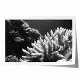 Colorful marine life coral design wall art print showcasing vibrant hues of blue, orange, and pink, perfect for enhancing ocean-themed decor in any room.