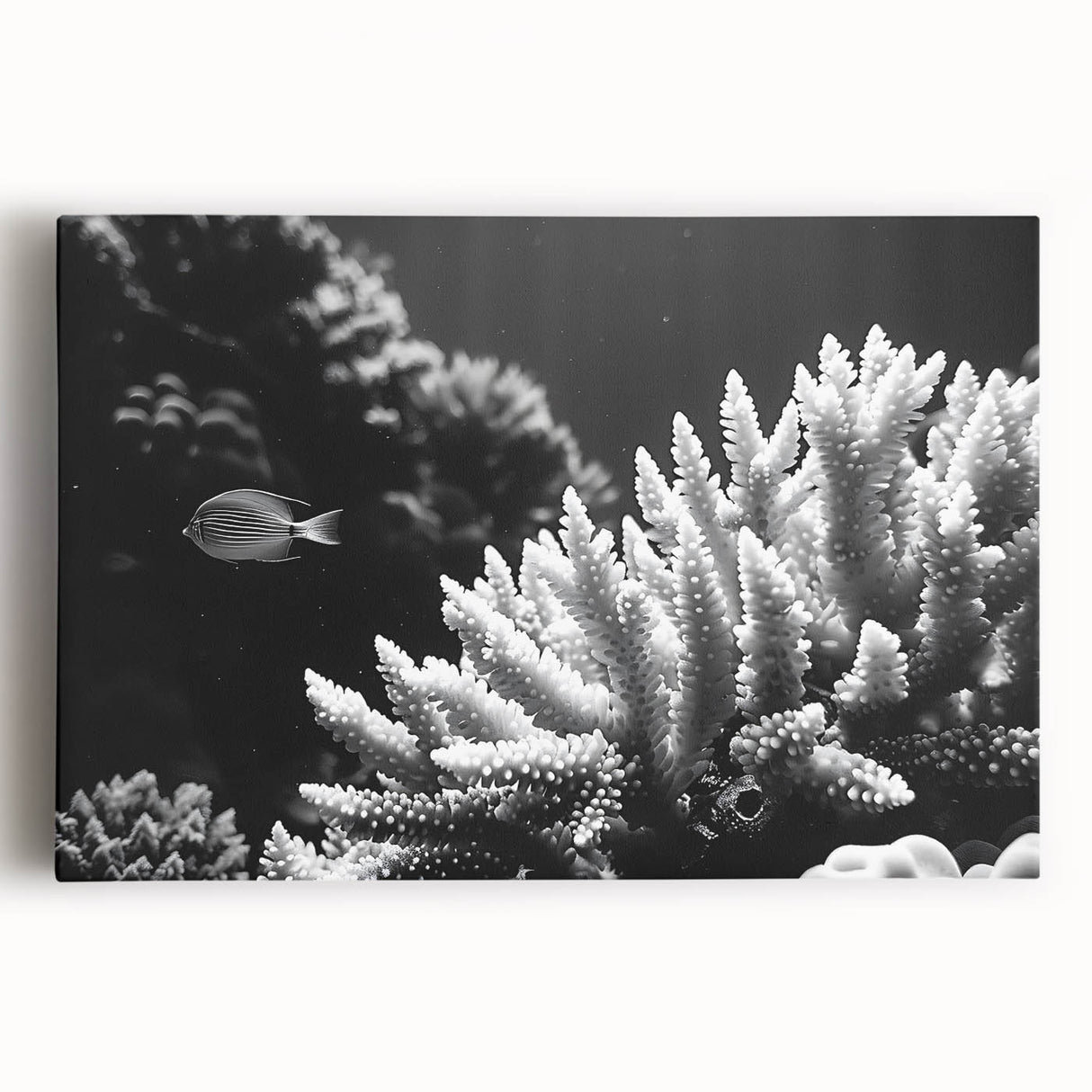 Vibrant coral reef wall art design on stretched canvas, showcasing colorful marine life and intricate details, perfect for ocean-themed decor in living spaces.