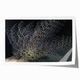 Vibrant marine life coral design wall art print featuring colorful corals and fish, rolled and ready for display, perfect for ocean-themed decor enthusiasts.