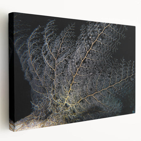 Vibrant marine life coral design wall art on stretched canvas, showcasing intricate ocean colors and textures, ideal for coastal-themed decor.